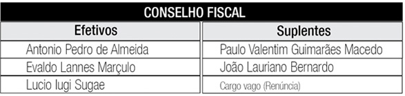 Conselho Fiscal